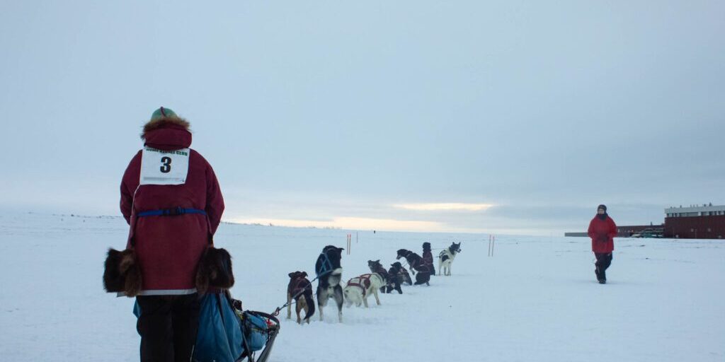 Nome's Oldest Mushing Organization Hosted 20-Mile Race | KNOM Radio Mission