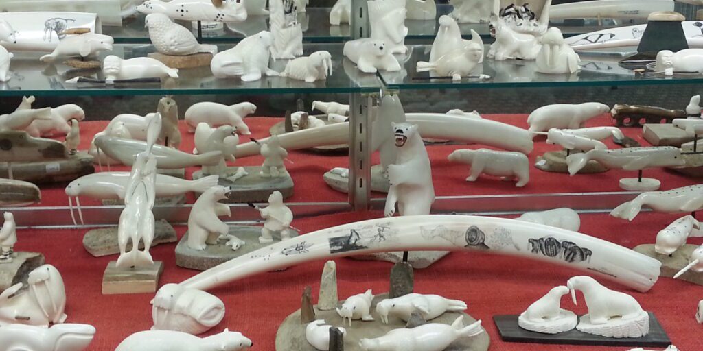 Confusion Over Legalities is Hurting Alaskan Ivory Market