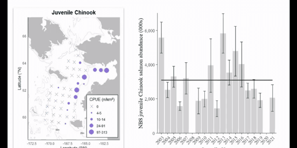 NOAA's Surface Trawl Survey reports extended low salmon population | KNOM Radio Mission