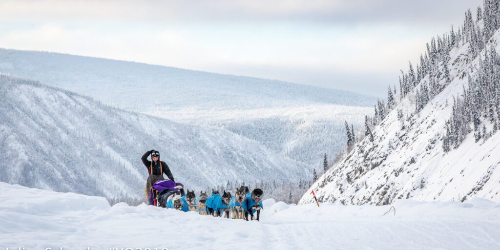 Eight Quest Mushers Through Eagle; Top Four Thunder Ahead | KNOM Radio Mission