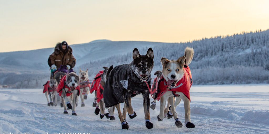 Moore Leads as Yukon Quest Enters Alaska; Lebling