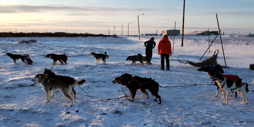 18-Day Mushing Expedition to Travel Along Historic Serum Run Trail | KNOM Radio Mission