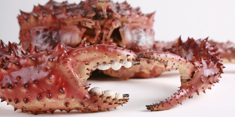 Norton Sound Red King Crab Fishery Opens | KNOM Radio Mission